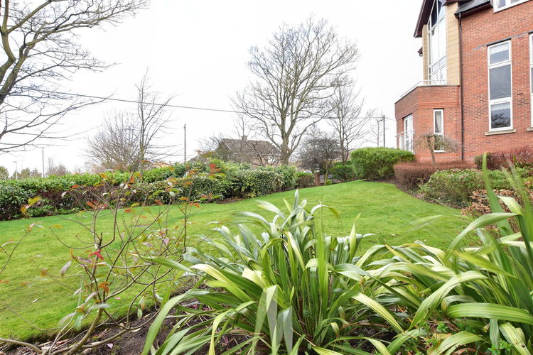 Outside - Picture 5 of 16