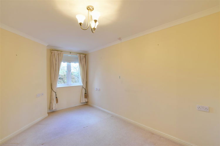 Master Bedroom - Picture 6 of 16