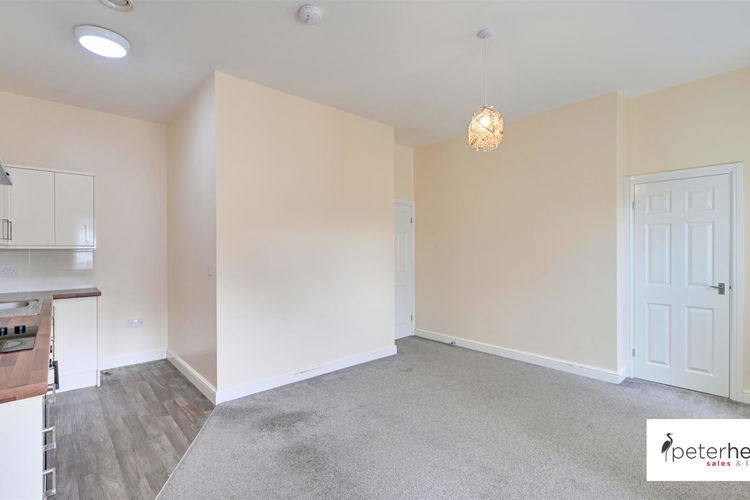 Open Plan Lounge and Kitchen - Picture 4 of 14
