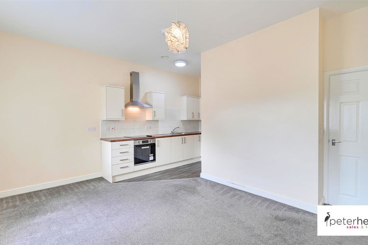 Open Plan Lounge and Kitchen - Picture 5 of 14