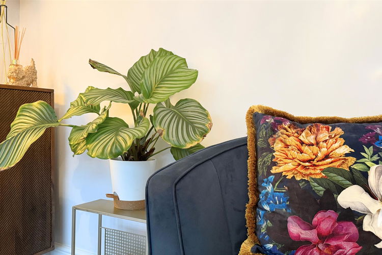 Lounge - Picture 4 of 39