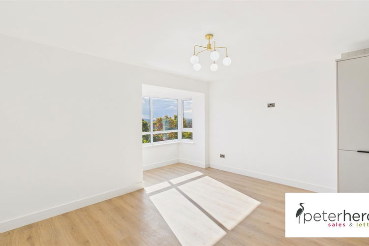 Open Plan Kitchen & Living Room - Picture 2 of 19