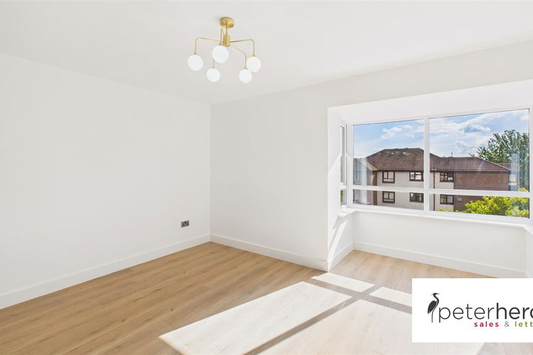 Open Plan Kitchen & Living Room - Picture 3 of 19