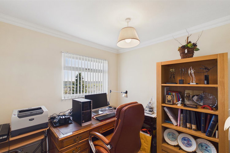 Study - Picture 27 of 54