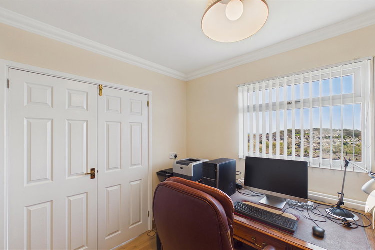 Study - Picture 28 of 54