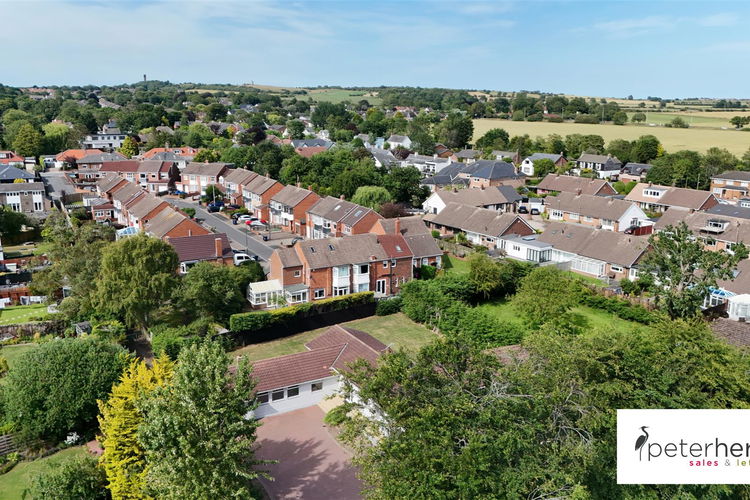 Aerial Shots - Picture 42 of 42