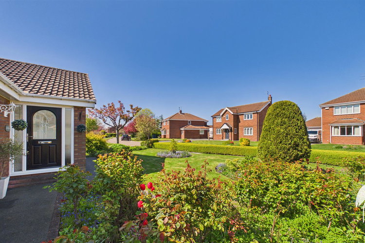 Outside - Picture 37 of 37