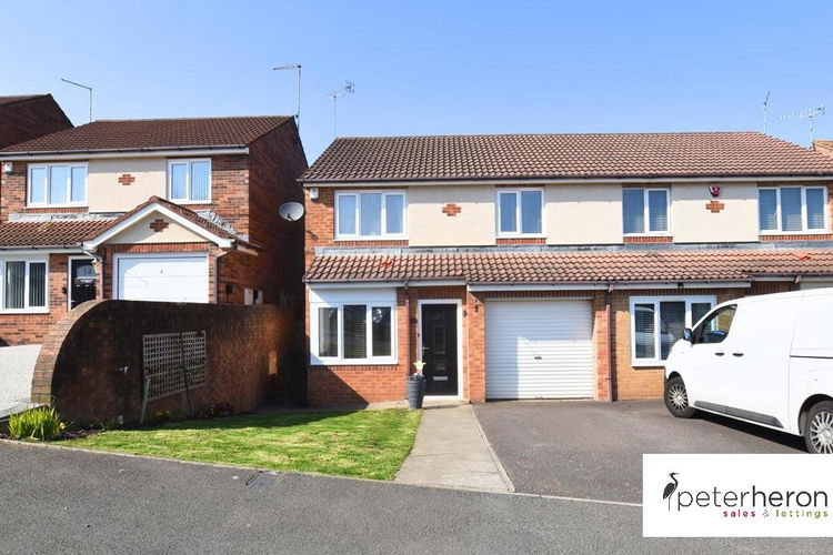 8LZMb2VM5EmHdYoLU4MceA.jpg - Picture 1 of 24