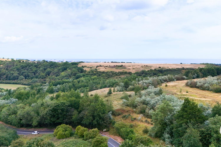 Views - Picture 41 of 41