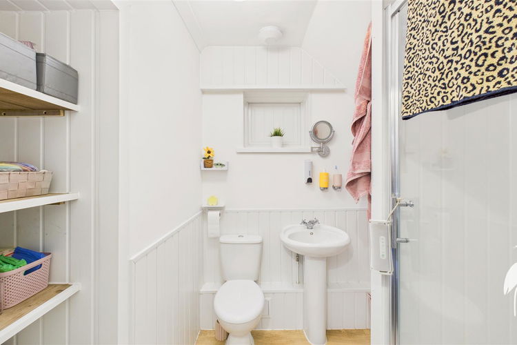 Shower Room - Picture 11 of 13