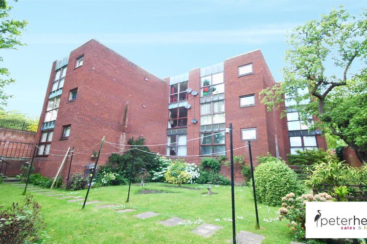 12.jpg - Picture 1 of 12