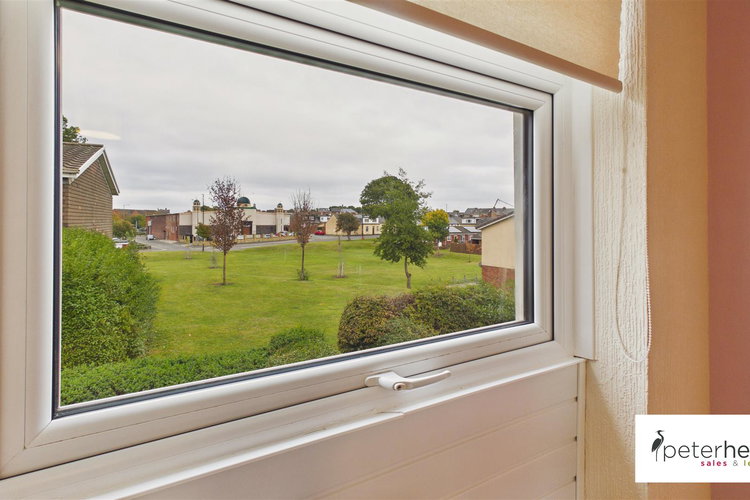 Picture 12 of 22