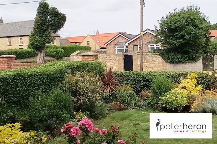 Outside - Picture 29 of 32