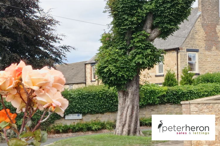 Outside - Picture 30 of 32