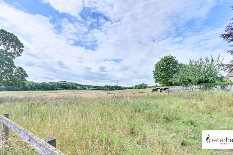 Views - Picture 2 of 32