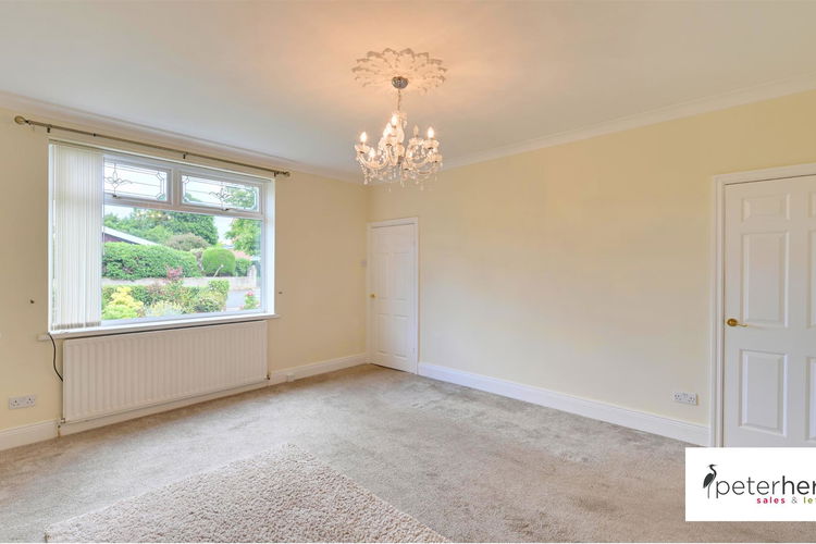 Lounge - Picture 4 of 32