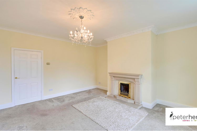 Lounge - Picture 5 of 32