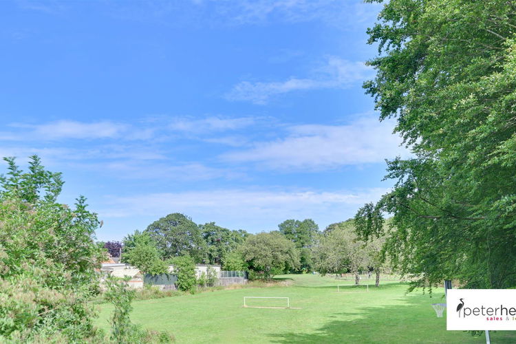 Views - Picture 23 of 32