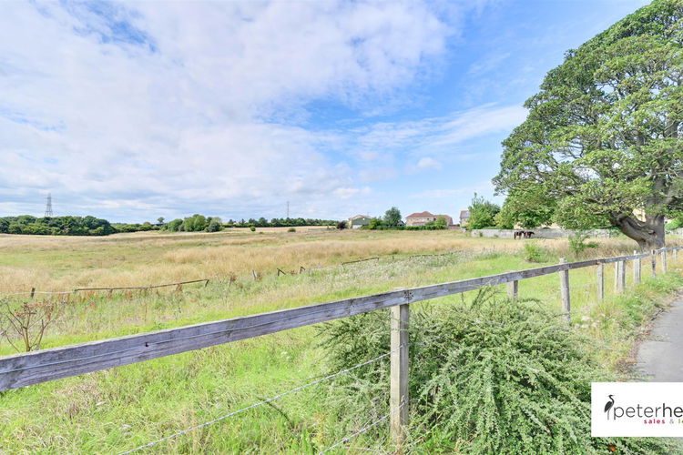 Views - Picture 25 of 32