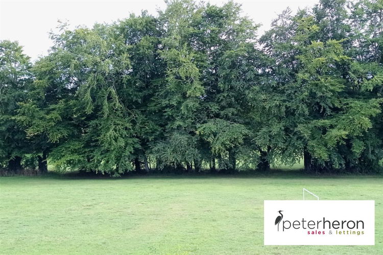 Outside - Picture 27 of 32