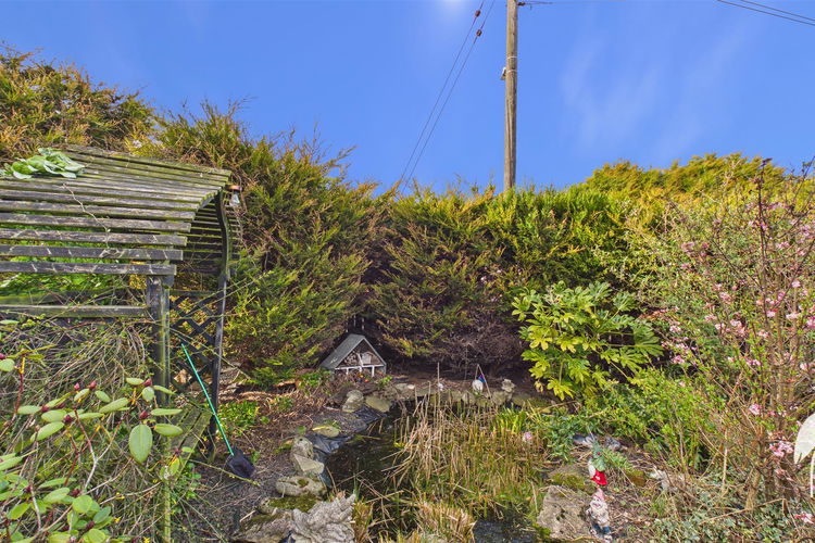 Outside - Picture 13 of 17