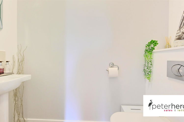 Cloakroom/WC - Picture 13 of 30