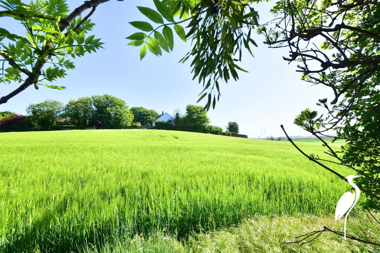 Outside - Picture 22 of 22