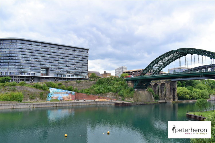 Outside - Picture 19 of 20