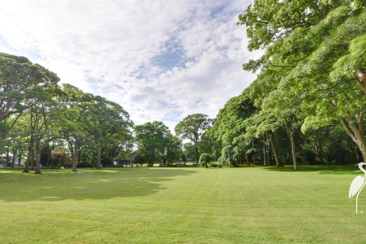 Outside - Picture 22 of 28