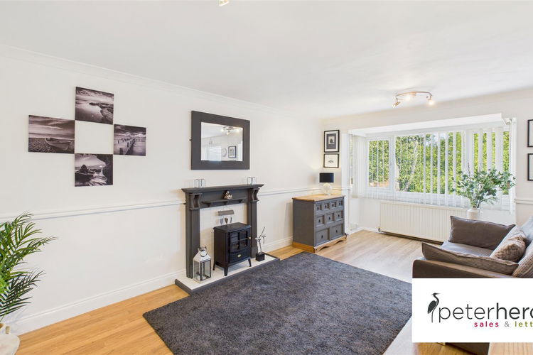 Open Plan Lounge & Kitchen - Picture 2 of 15
