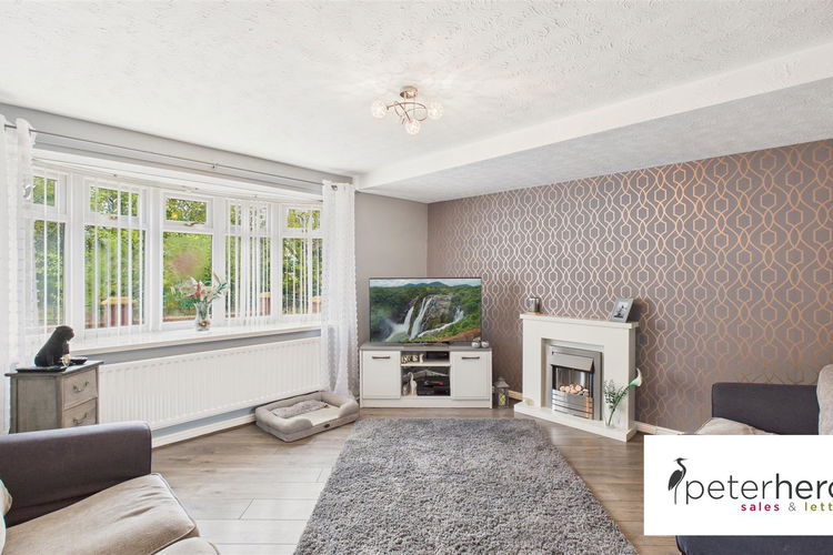 Lounge - Picture 2 of 27