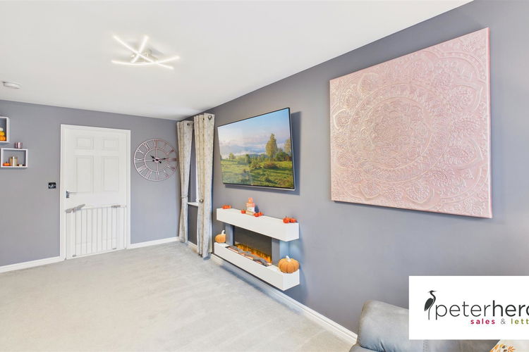 Lounge - Picture 4 of 27