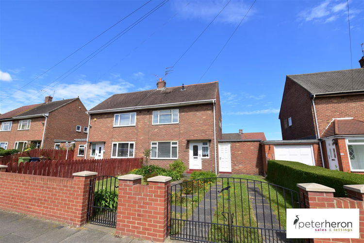 DSC_0808 (2).jpg - Picture 1 of 12