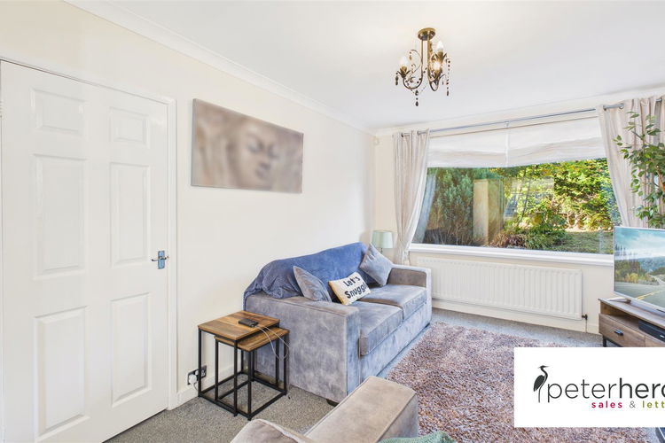 Lounge - Picture 3 of 23