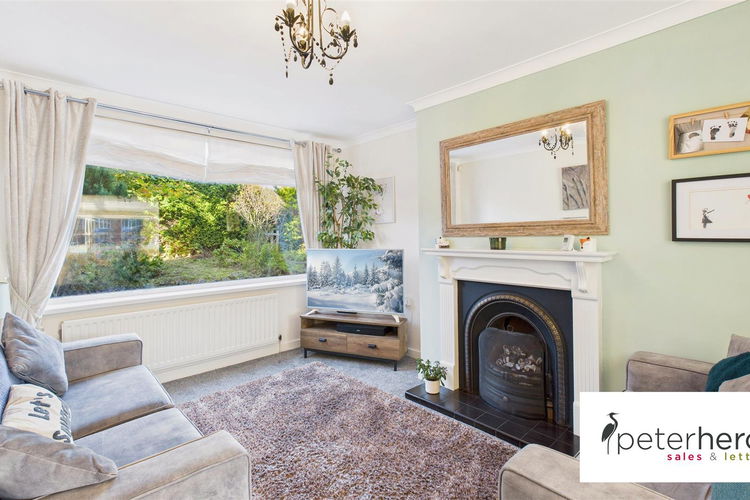 Lounge - Picture 2 of 23