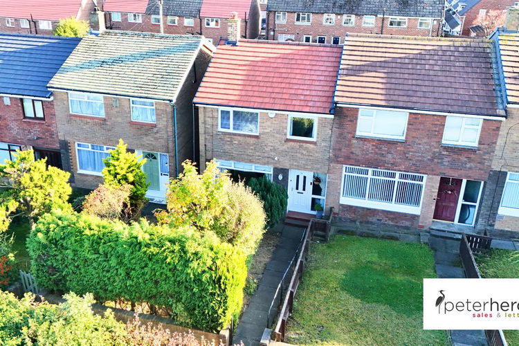 1.png - Picture 1 of 23