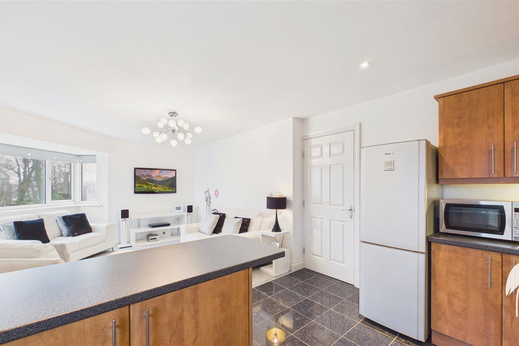 Open Plan Living Room and Kitchen - Picture 7 of 19