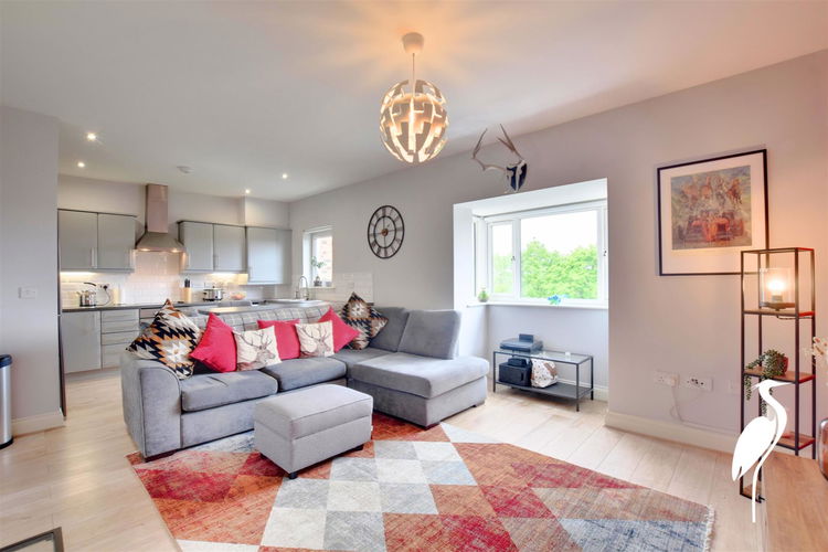 Open Plan Living and Kitchen - Picture 2 of 18