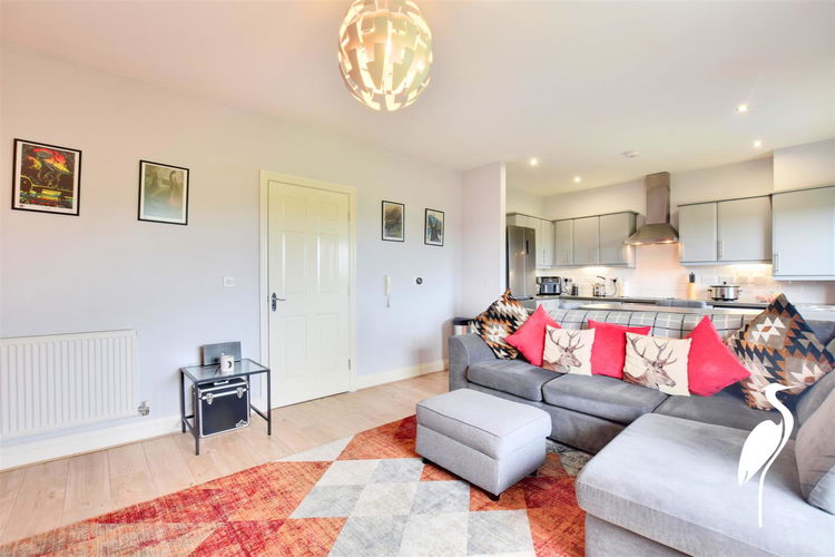 Open Plan Living and Kitchen - Picture 3 of 18