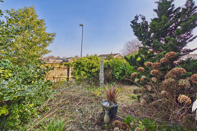 Outside - Picture 13 of 15