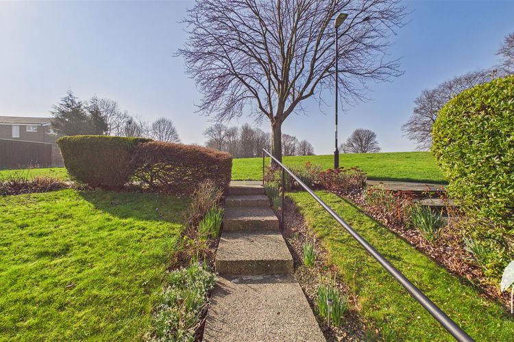 Outside - Picture 14 of 15