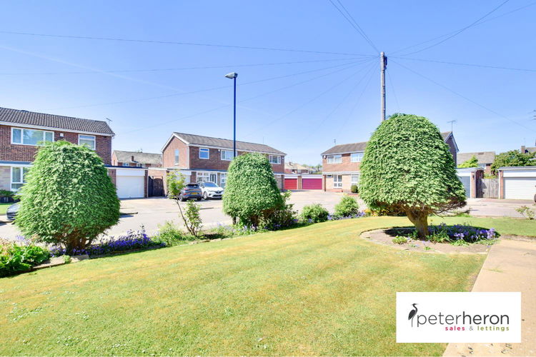 Outside - Picture 25 of 25