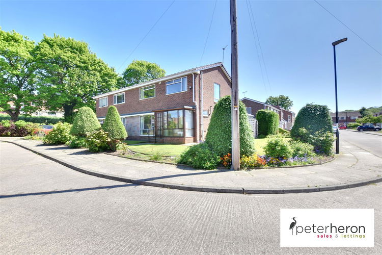 DSC_0777-DSC_0779.jpg - Picture 1 of 25