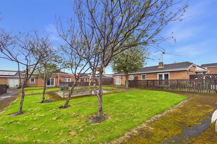 Outside - Picture 16 of 17