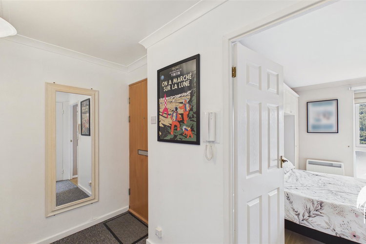 Entrance Hall - Picture 11 of 15
