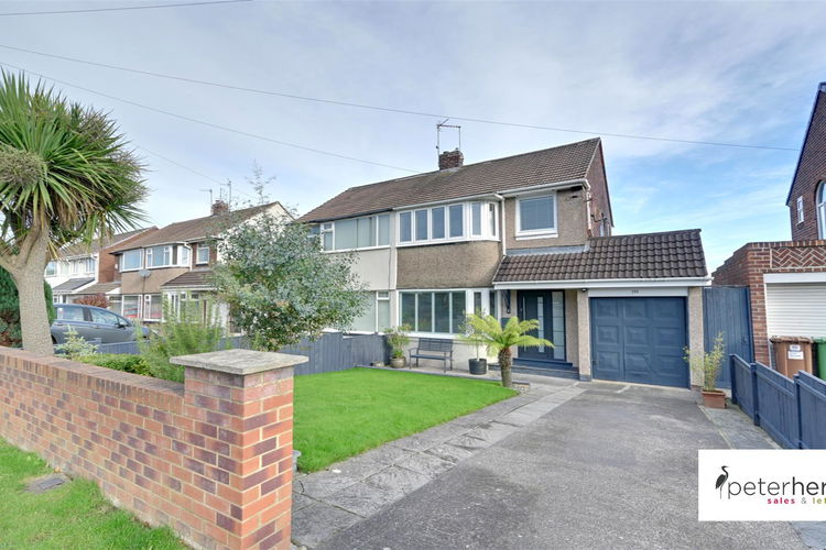 DSC_5254-DSC_5256.jpg - Picture 1 of 28