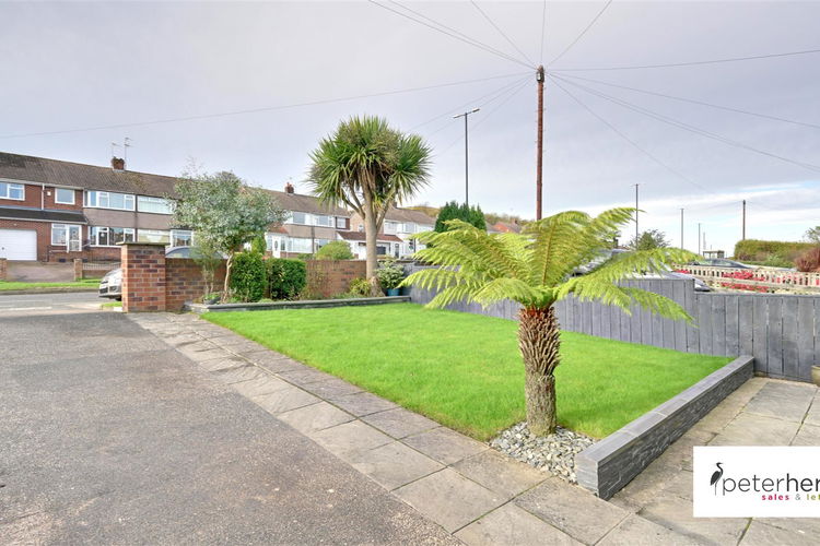 DSC_5260-DSC_5262.jpg - Picture 28 of 28