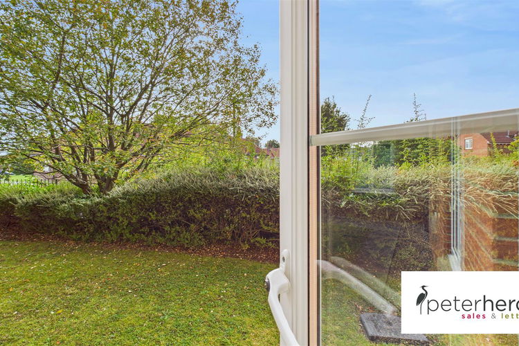 Outside - Picture 11 of 22