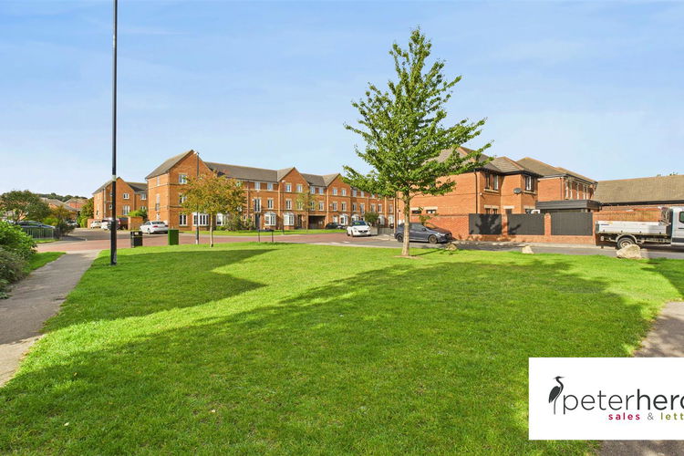 Outside - Picture 19 of 22