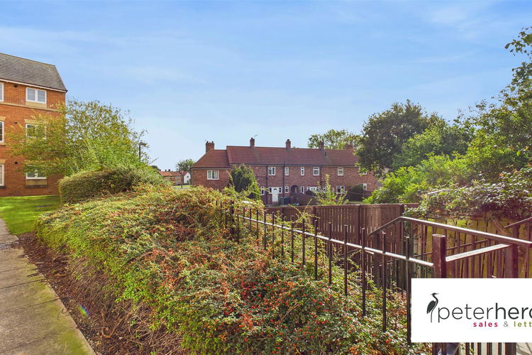 Outside - Picture 21 of 22